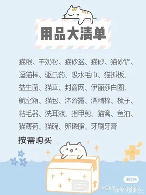 新手养猫需要准备什么,新手养一只猫要注意些什么