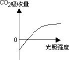 4、提高光照，促进光合作用速度。