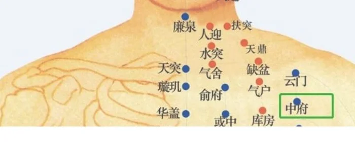 中府云门准确位置图和作用,云门中府的准