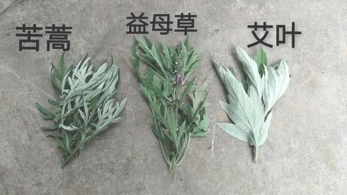 艾草艾叶有什么区别