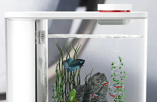 智能鱼缸有什么用 智能鱼缸怎么选_家居饰