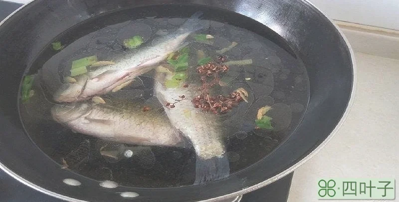 鲫鱼汤放冷水还是开水