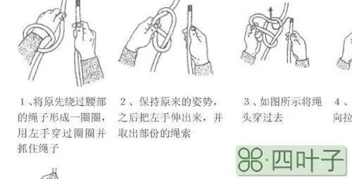 6种绳节的打法