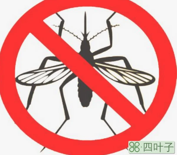 如何灭蚊