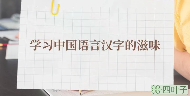 学习中国语言汉字的滋味