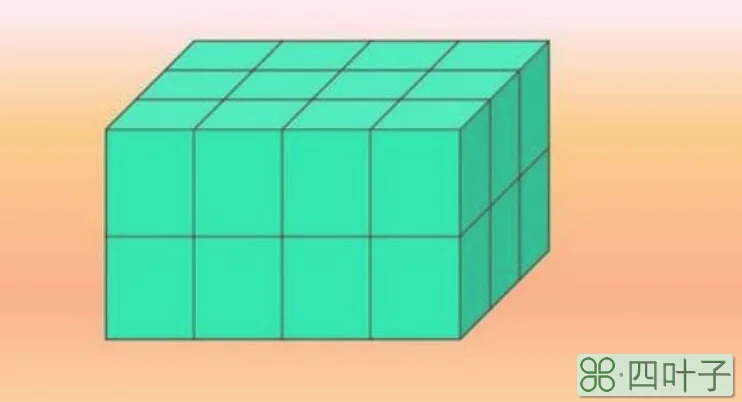 长方形的棱可以分成几组