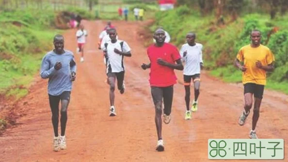 为什么肯尼亚人善于长跑