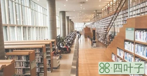 上海图书馆开放时间