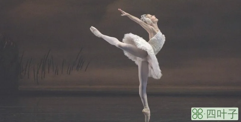 芭蕾舞的两个基础的训练动作是什么