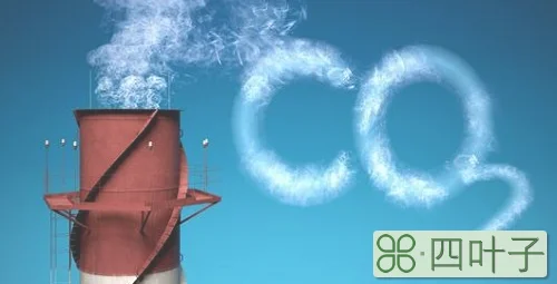 除去一氧化碳中的二氧化碳的方法
