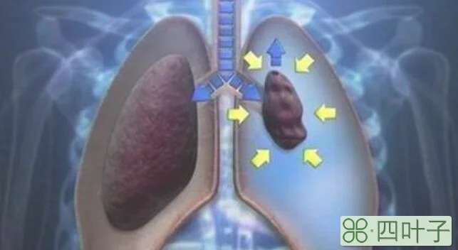 肺内压等于大气压的时期是
