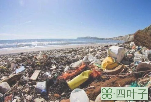洋垃圾在中国如何处理的