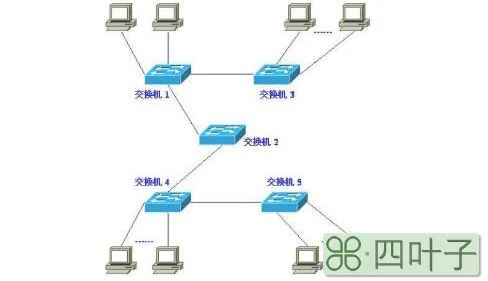 网络类型分类