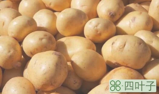 氧化的土豆可以吃吗