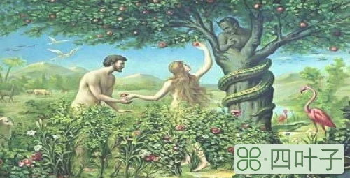 亚当和夏娃故事的寓意