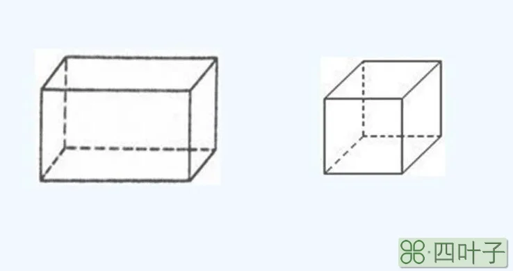 长方体和正方体的特征