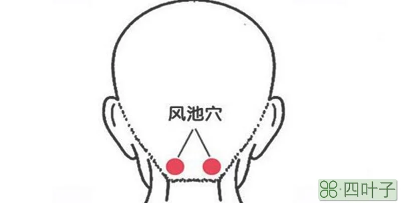 天柱和风池怎么区分