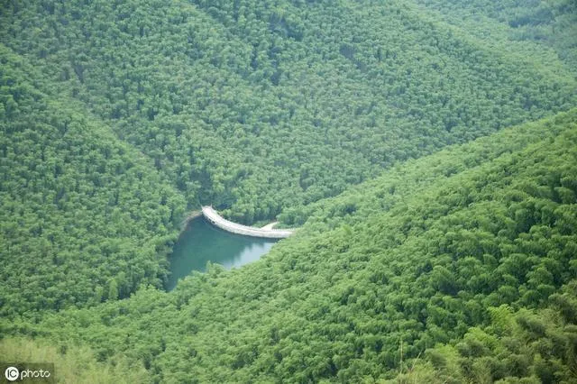 再也不用去巴厘岛打卡鸟巢了，莫干山就有，首家网红鸟巢泳池民宿