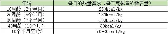 猫吃什么最好？养猫人必看的猫咪饮食指南