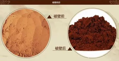 灵芝多糖功效和作用是什么，你知道吗？