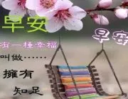 八下政治书(八下政治书知识点)