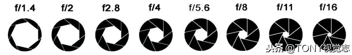 单反摄影入门基础，什么是光圈？三分钟学完光圈所有知识点