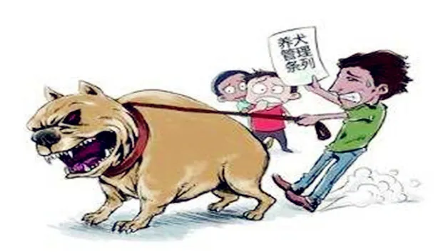 禁养犬已经养了怎么办