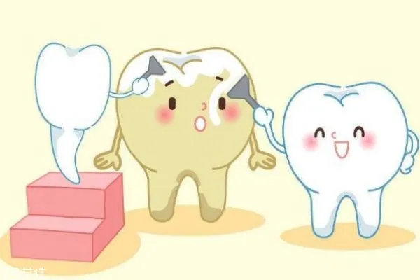 洗牙粉多久用一次 洗牙粉使用心得