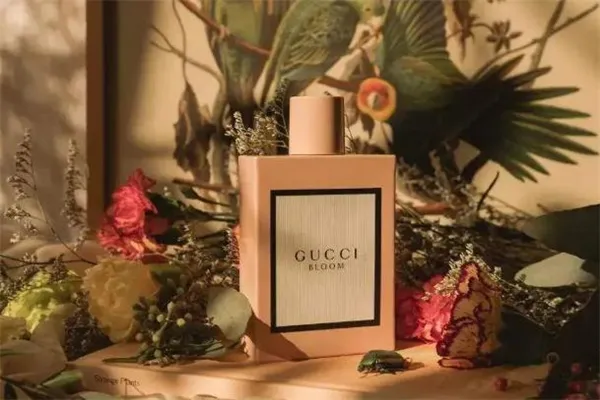 gucci花悦香水真假辨别 gucci花悦香水适合年龄