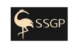 叁肆钢SSGP