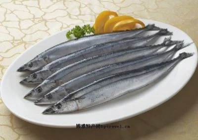 长海刀鱼